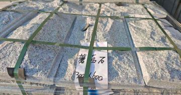 来宾芝麻白蘑菇石，自然面