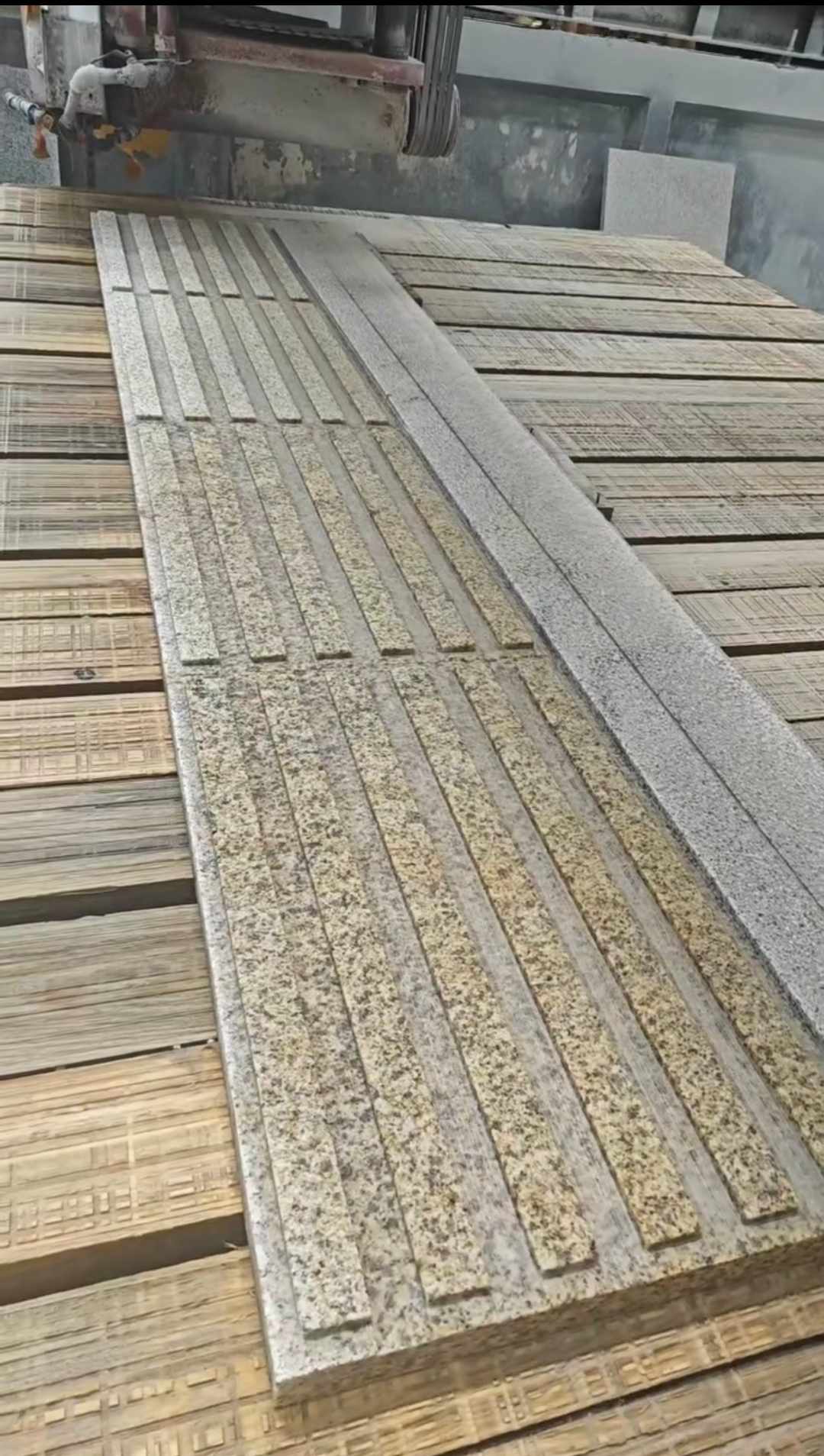 来宾黄金麻盲道石 盲条